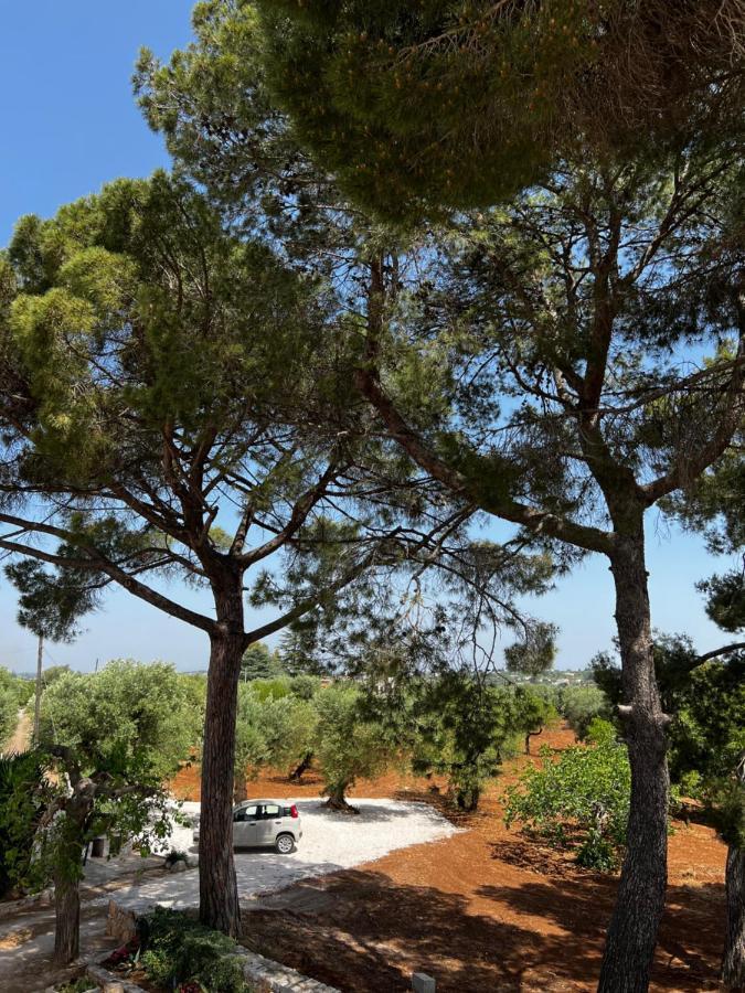 Masseria Concorrano Lägenhet Castellana Grotte Exteriör bild