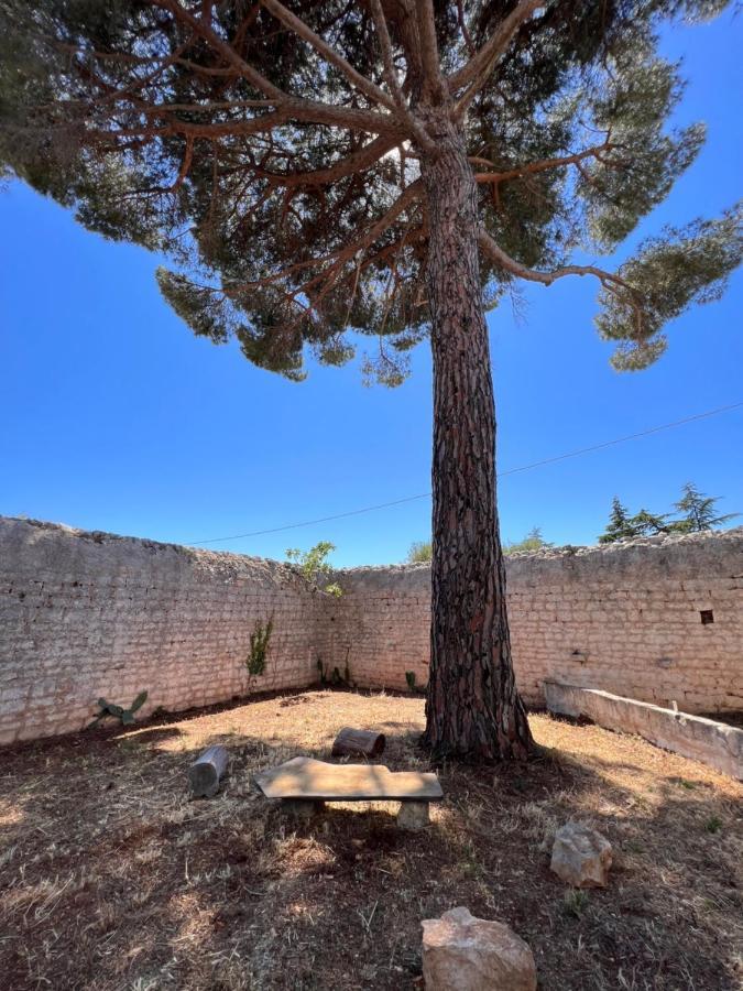 Masseria Concorrano Lägenhet Castellana Grotte Exteriör bild